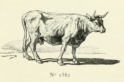The-cow-2022-034.jpeg