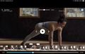 Downdog-app-yoga-beginner.jpeg