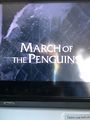 March-Of-The-Penguins.jpeg